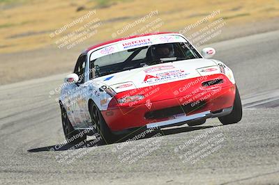 media/May-24-2025-Turn8 Trackdays (Sat) [[034586b55d]]/1 Advanced 2/Session 2 (Cotton Corners-Grapevine)/